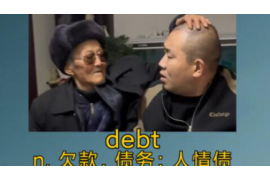 五家渠为什么选择专业追讨公司来处理您的债务纠纷？